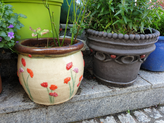 zwei Blumenübertöpfe auf Stiege